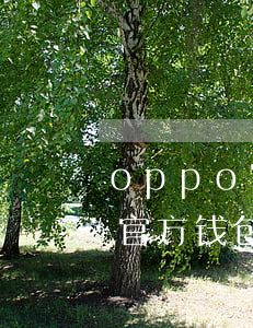 oppo官方钱包逾期后还不了-oppo官方钱包逾期后还不了款怎么办