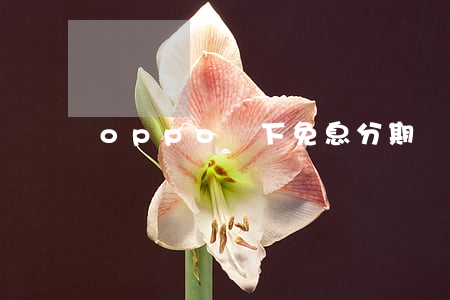 oppo線下免息分期