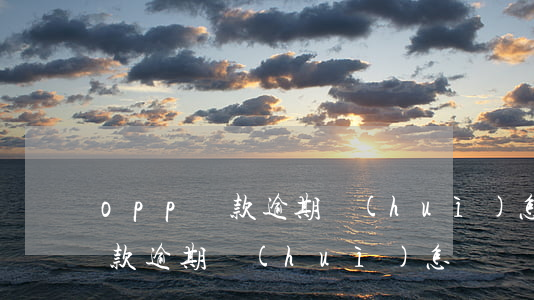 opp貸款逾期會(huì)怎樣(opp貸款逾期會(huì)怎樣)