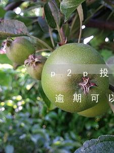 p2p投资逾期可以去法院告吗(p2p投资逾期可以去法院告吗)