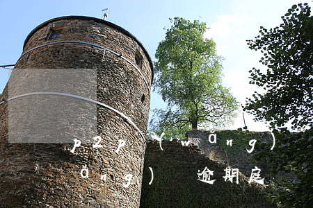p2p網(wǎng)貸逾期上訴嗎(網(wǎng)貸逾期庭審)