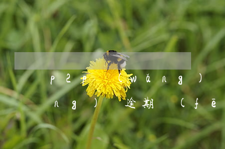 p2p網(wǎng)貸逾期處理(網(wǎng)貸逾期風(fēng)險(xiǎn))
