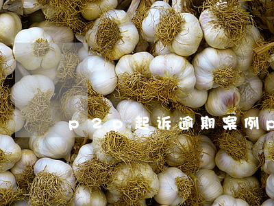 p2p起诉逾期案例（p2p起诉逾期案例）