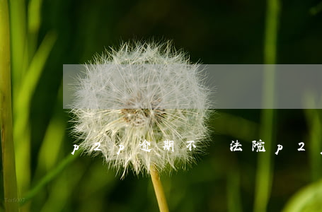 p2p逾期不還法院(p2p欠錢不還可以起訴嗎)