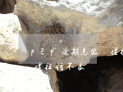 p2p逾期怎么處理征信(p2p逾期怎么處理征信不良)