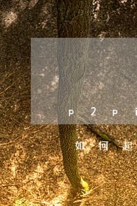 p2p逾期應(yīng)該起訴誰(出借人如何起訴p2p逾期)