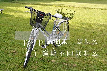 p2p逾期未還款怎么辦(p2p平臺(tái)逾期不回款怎么舉報(bào))