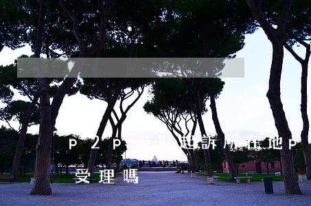 p2p逾期起訴所在地(p2p欠款起訴法院受理嗎)