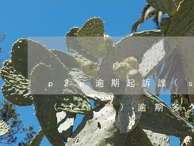 p2p逾期起訴誰(shuí)(p2p平臺(tái)逾期多久算違法)