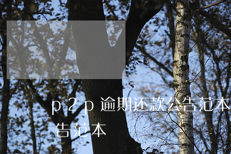 p2p逾期还款公告范本(p2p逾期还款公告范本)