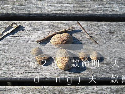 p2p還款逾期一天(網(wǎng)貸當(dāng)天還款算逾期不)