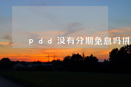 pdd没有分期免息吗(拼多多没有分期免息)