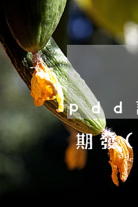pdd訂單逾期未付款會怎么樣-pdd逾期發(fā)貨處罰