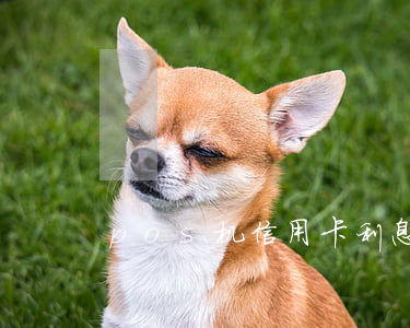 pos机信用卡利息(pos机利息怎么算的)