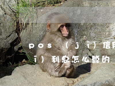 pos機(jī)信用卡利息(pos機(jī)利息怎么算的)