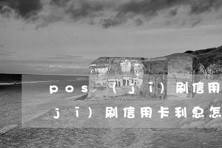 pos機(jī)刷信用卡利息(pos機(jī)刷信用卡利息怎么結(jié)算)