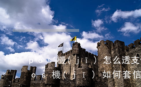 pos機(jī)怎么透支信用卡(自己有pos機(jī)如何套信用卡的現(xiàn))