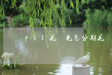 ps5花唄免息分期(花唄分期買ps5)