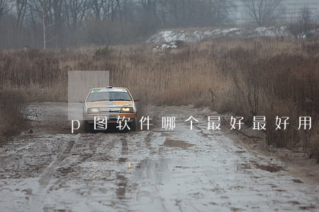 p图软件哪个最好(最好用的p图软件有哪些)