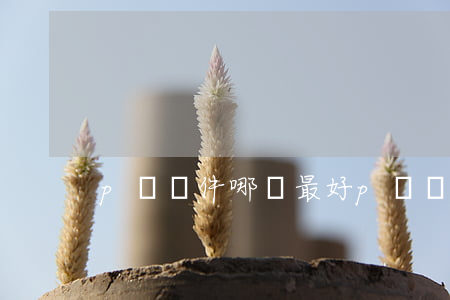 p圖軟件哪個最好(p圖軟件哪個最好)