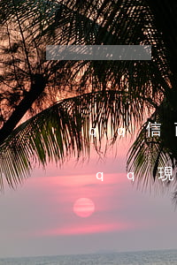 qq信而富逾期500欠四年沒還-信而富qq現(xiàn)金貸沒還的有多少