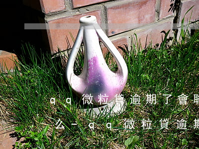 qq微粒貸逾期了會聯(lián)系家人么-qq微粒貸逾期了會聯(lián)系家人么嗎