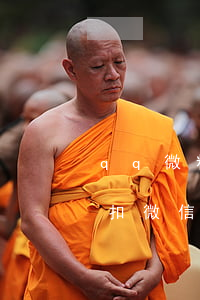 qq微粒貸逾期會有什么(qq微粒貸逾期會扣微信的嗎)