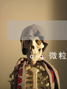 qq微粒贷欠1万5(微粒贷欠款5万)