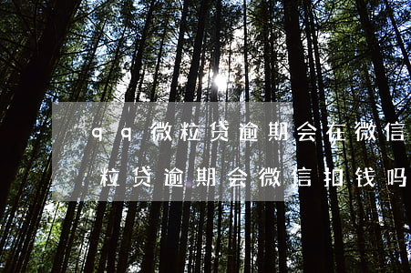 qq微粒贷逾期会在微信上扣款吗-qq微粒贷逾期会微信扣钱吗