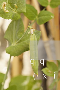 qq現(xiàn)金貸逾期微信-QQ現(xiàn)金貸沒有了