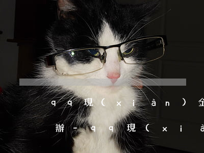 qq現(xiàn)金貸還款登錄不了怎么辦-qq現(xiàn)金貸怎么不能還款了
