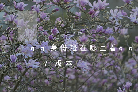 qq身份證在哪里看(qq身份證在哪里看8.7版本)
