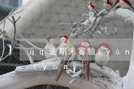 qq逾期未審驗(yàn)(qq逾期未審驗(yàn))