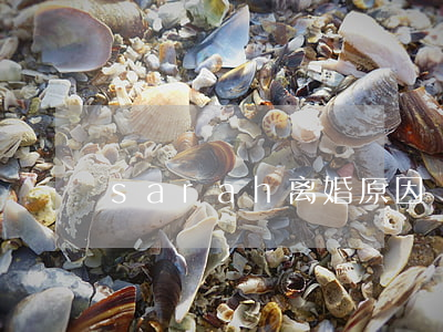 sarah离婚原因