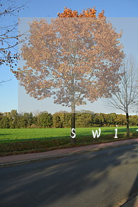 switch分期免息(ns分期免息)