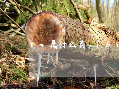 tm是什么商標(biāo)