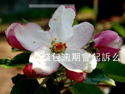 u錢包逾期會起訴么