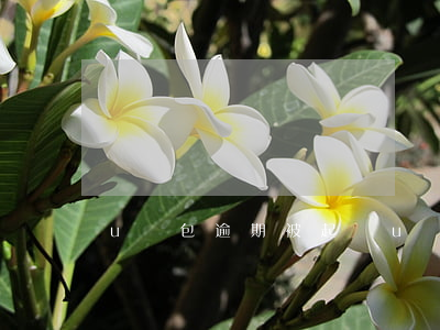 u錢包逾期被起訴(u錢包騙局)