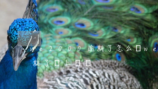 ve2000逾期了怎么辦 we2000逾期了會上門嗎