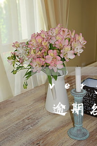 vergamot品牌（個(gè)人信用卡逾期名單）