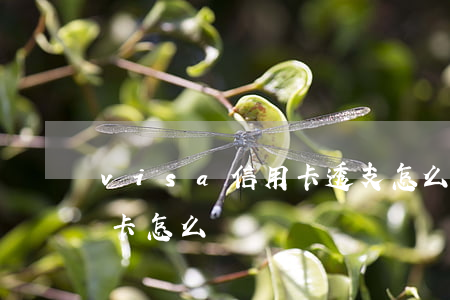 visa信用卡透支怎么還(visa的借記卡怎么辦)