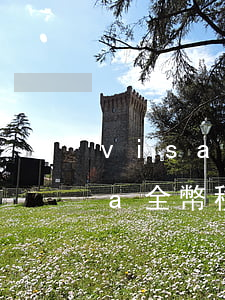 visa全幣種國際信用卡怎么停-visa全幣種國際信用卡怎么還款