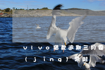 vivo借款逾期三月要起訴我(vivo經(jīng)常起訴)