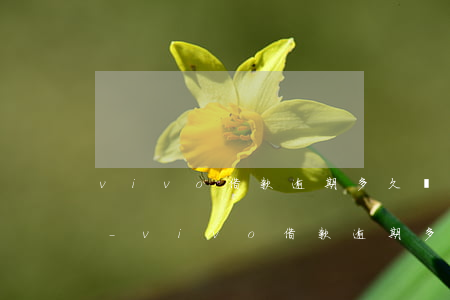 vivo借款逾期多久會(huì)被起訴-vivo借款逾期多久會(huì)被起訴