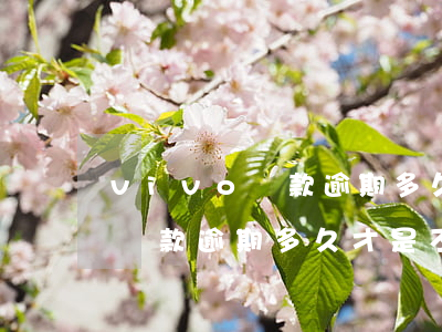 vivo貸款逾期多久才是不良-vivo貸款逾期多久才是不良貸款