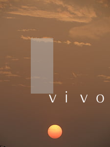 vivo逾期12個(gè)月要不要緊-