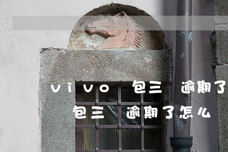 vivo錢包三萬逾期了怎么辦-vivo錢包三萬逾期了怎么辦啊