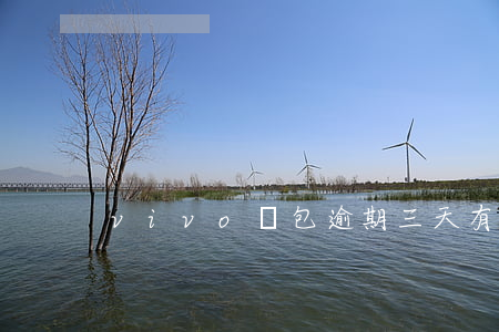 vivo錢包逾期三天有啥影響-