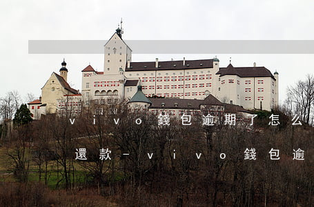 vivo錢包逾期了怎么手動(dòng)還款-vivo錢包逾期了怎么手動(dòng)還款啊