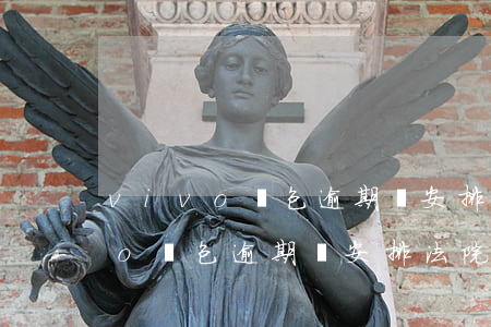 vivo錢包逾期說安排法院開庭-vivo錢包逾期說安排法院開庭是真的嗎